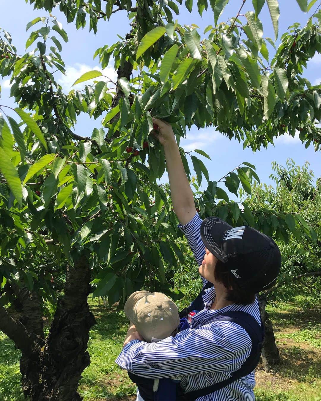高橋みゆきのインスタグラム