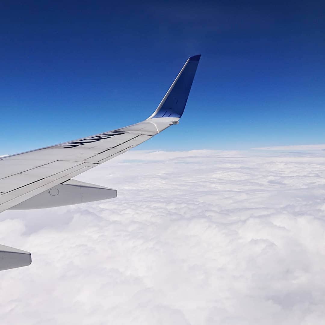 のインスタグラム：「✈️ 冷たい雨の降る仙台 雲を抜けたら綺麗な青空 ちょっと癒された  夏のように暑い 名古屋に戻りました  #ANA  #仙台  #中部国際空港」