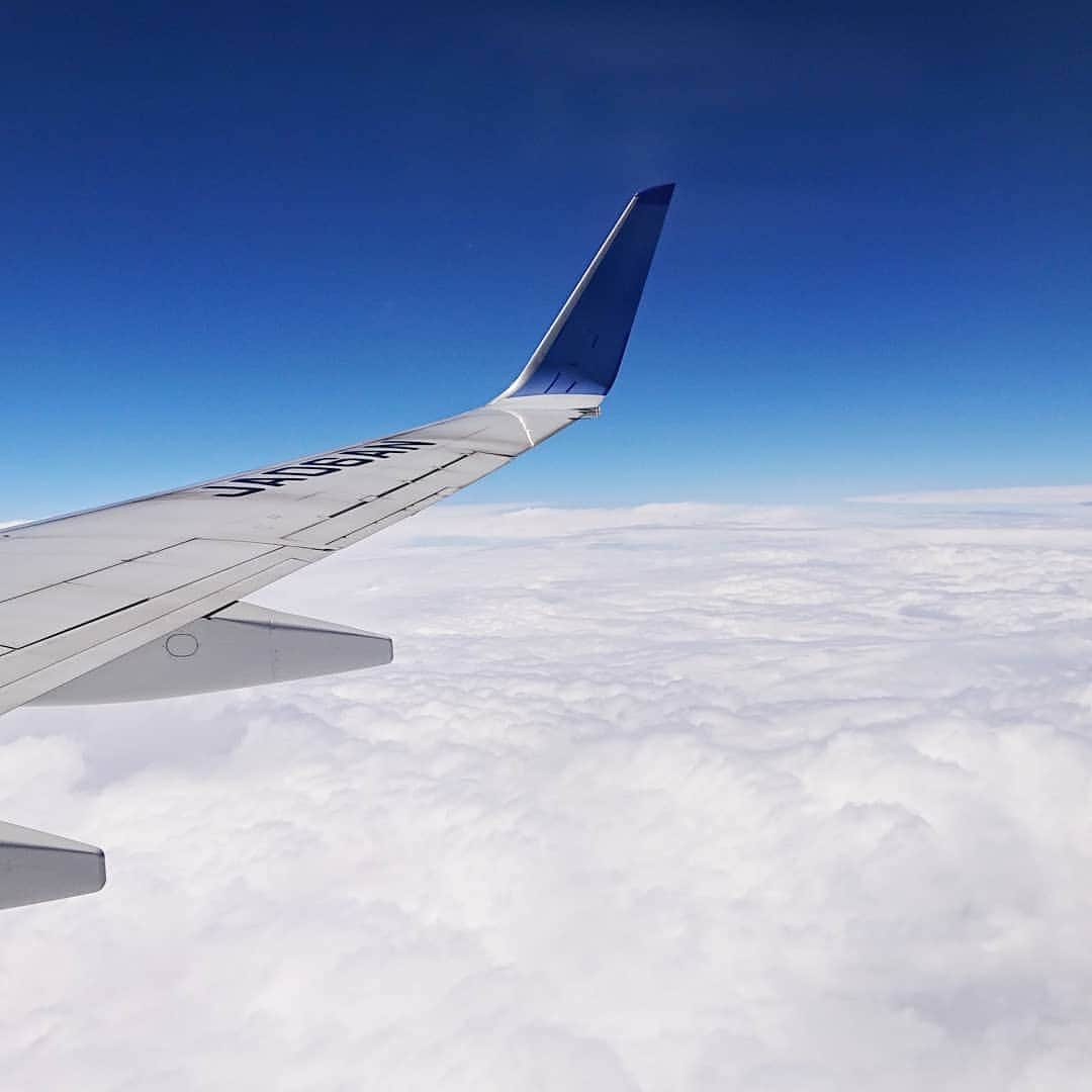 ピエール北川さんのインスタグラム写真 - (ピエール北川Instagram)「✈️ 冷たい雨の降る仙台 雲を抜けたら綺麗な青空 ちょっと癒された  夏のように暑い 名古屋に戻りました  #ANA  #仙台  #中部国際空港」6月24日 16時35分 - pierrekitagawa