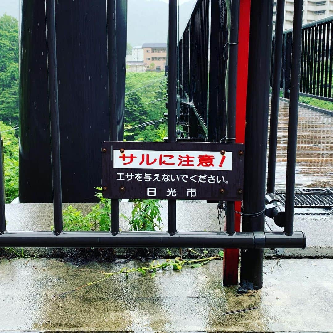 一三さんのインスタグラム写真 - (一三Instagram)「じっとして居れず，日光を徘徊中。。。 #日光 #鬼怒川 #温泉 #観光 #Sightseeing #旅行 #トラベル #travel #雨 #rain #休み #休日 #holiday」6月24日 16時50分 - ichizou.co.jp