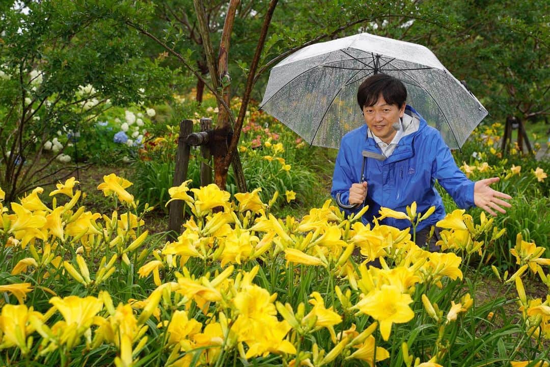 平塚市のグルメインスタ