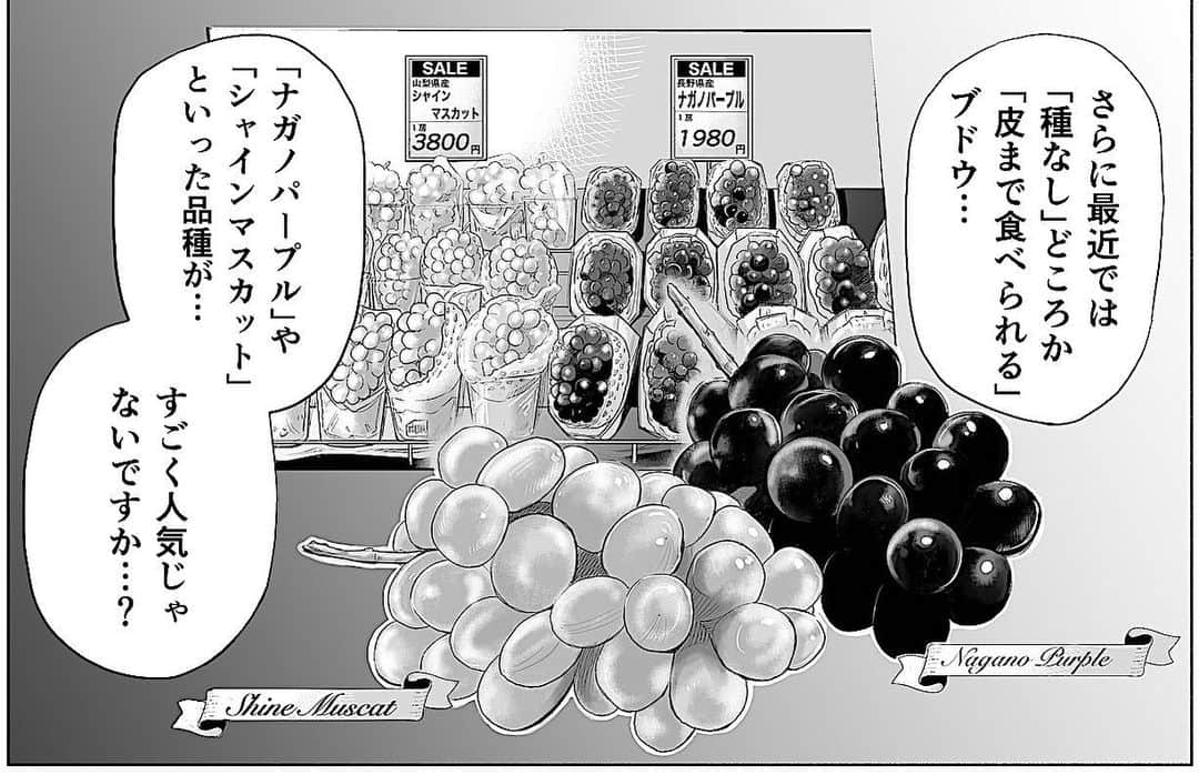 佐藤智美のインスタグラム：「生食用のブドウを描きもうしたw 瑞々しいカンジが表現できてるといいんですが… #漫画 #マンガ #コミック #manga  #comic」