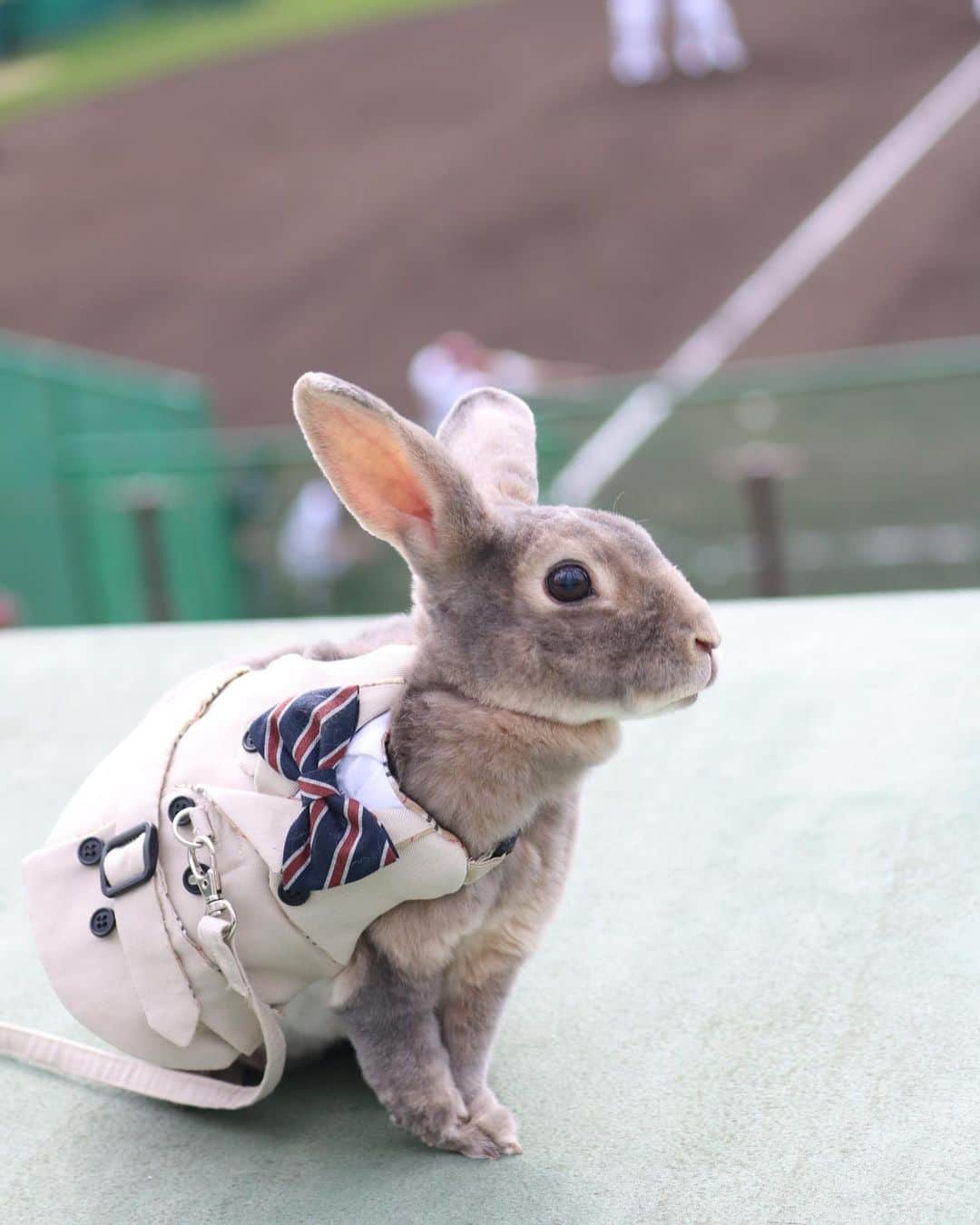 Kayoのインスタグラム：「今ごろキャンプ観戦の写真 (@楽天  則本くんステキだった⚾️) はい。 ついにあいぽん容量いっぱい‥ カメラロール見直して、投稿しようとしてしてない写真の多さにビビる(o_o) (記録ゆえ季節外れスルーしてくださあい)」