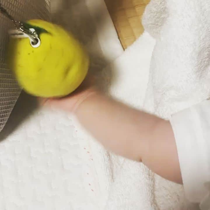 今井隆文のインスタグラム：「娘に容赦なく弄ばれる、はっさくメガネ。」