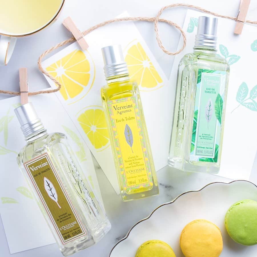 L'OCCITANE en Provenceさんのインスタグラム写真 - (L'OCCITANE en ProvenceInstagram)「＼どの香りが好き✨？／ この夏も、個性光る３つのヴァーベナが登場！ ﻿恋ハーブ・ヴァーベナのオードトワレ シリーズから、それぞれの特徴をご紹介します☺﻿ ﻿ 🌿ヴァーベナ オードトワレ（写真左）﻿ 恋に呼ぶという言い伝えのあるハーブ。﻿ フレッシュで爽快感のあるヴァーベナは、﻿ リラックス効果や疲労回復にも効果があり、﻿ プロヴァンスでは紅茶のフレーバーとしても人気。﻿ 男女とわず普段づかいできる、﻿ ロクシタンNo.1(*)フレグランスです。﻿ ﻿ 🍊シトラスヴァーベナ オードトワレ（写真中央）﻿ はじけるような新鮮なシトラスが﻿ ヴァーベナの魅力を引き立てる香り。﻿ 過ぎさっていく毎日の、フレッシュなアクセントに。﻿ 「今日はちょっとだけ頑張りたい！」﻿ そんな日にシュッと吹きかけてみて。﻿ ﻿ 🍀ミントヴァーベナ オードトワレ（写真右）﻿ ミントの清涼感とヴァーベナの癒やしが﻿ 出会って生まれた、意外性のある香り🌟﻿ 透き通るような凛とした香りを﻿ ミントのアクセントが引き締め、﻿ 木陰のそよ風のような爽快感をもたらします。﻿ 暑い日に、ひんやりパラダイス気分を。﻿ ﻿ なりたい気分に合わせてチョイス✨﻿ ヴァーベナ3姉妹で、毎日ご機嫌の夏に☀️﻿ ﻿ (*)ロクシタンにおける2017年度売上本数﻿ ﻿ #ロクシタン #コスメ#コスメ好き #フレグランス #香り #香水 #香りマニア #ミント #ミントヴァーベナ #ヴァーベナ #モテコスメ #恋コスメ #🍋 #ロクシタン #コスメ紹介 #コスメ好き #オードトワレ #コスメマニア #シトラスヴァーベナ #かわいくなりたい #香水好き #夏コスメ #プロヴァンス #気分転換 #香りフェチ #リフレッシュ #リラックス #loccitane #verveine」6月24日 18時06分 - loccitane_jp