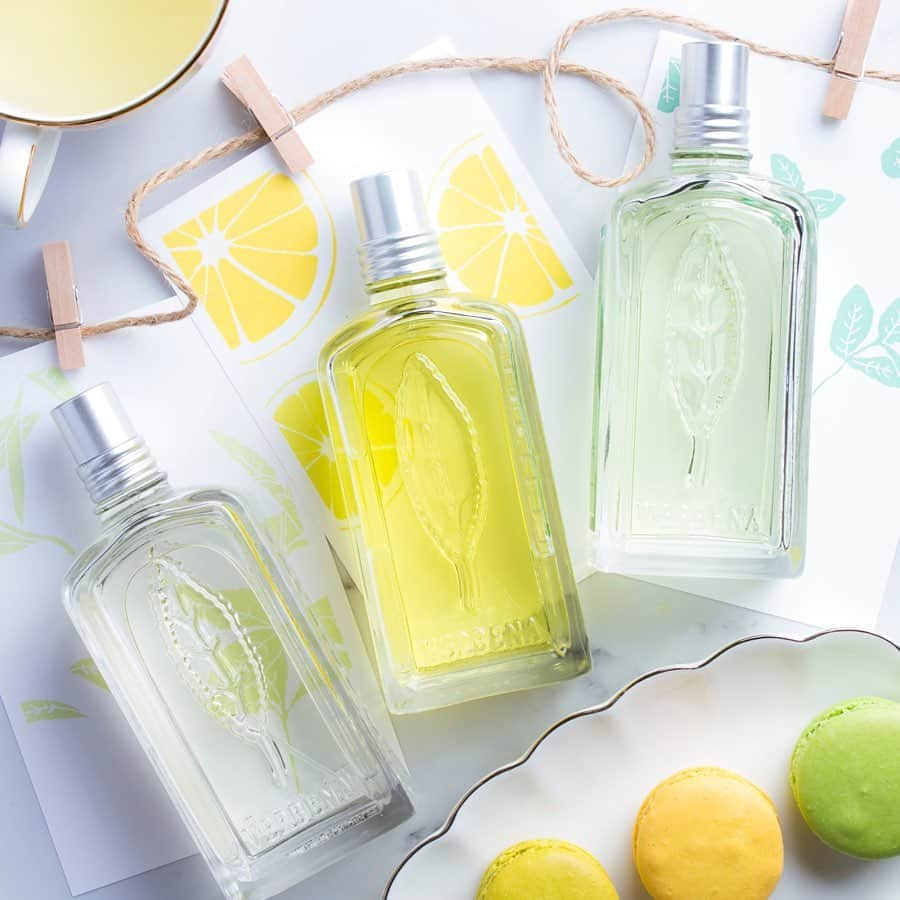 L'OCCITANE en Provenceさんのインスタグラム写真 - (L'OCCITANE en ProvenceInstagram)「＼どの香りが好き✨？／ この夏も、個性光る３つのヴァーベナが登場！ ﻿恋ハーブ・ヴァーベナのオードトワレ シリーズから、それぞれの特徴をご紹介します☺﻿ ﻿ 🌿ヴァーベナ オードトワレ（写真左）﻿ 恋に呼ぶという言い伝えのあるハーブ。﻿ フレッシュで爽快感のあるヴァーベナは、﻿ リラックス効果や疲労回復にも効果があり、﻿ プロヴァンスでは紅茶のフレーバーとしても人気。﻿ 男女とわず普段づかいできる、﻿ ロクシタンNo.1(*)フレグランスです。﻿ ﻿ 🍊シトラスヴァーベナ オードトワレ（写真中央）﻿ はじけるような新鮮なシトラスが﻿ ヴァーベナの魅力を引き立てる香り。﻿ 過ぎさっていく毎日の、フレッシュなアクセントに。﻿ 「今日はちょっとだけ頑張りたい！」﻿ そんな日にシュッと吹きかけてみて。﻿ ﻿ 🍀ミントヴァーベナ オードトワレ（写真右）﻿ ミントの清涼感とヴァーベナの癒やしが﻿ 出会って生まれた、意外性のある香り🌟﻿ 透き通るような凛とした香りを﻿ ミントのアクセントが引き締め、﻿ 木陰のそよ風のような爽快感をもたらします。﻿ 暑い日に、ひんやりパラダイス気分を。﻿ ﻿ なりたい気分に合わせてチョイス✨﻿ ヴァーベナ3姉妹で、毎日ご機嫌の夏に☀️﻿ ﻿ (*)ロクシタンにおける2017年度売上本数﻿ ﻿ #ロクシタン #コスメ#コスメ好き #フレグランス #香り #香水 #香りマニア #ミント #ミントヴァーベナ #ヴァーベナ #モテコスメ #恋コスメ #🍋 #ロクシタン #コスメ紹介 #コスメ好き #オードトワレ #コスメマニア #シトラスヴァーベナ #かわいくなりたい #香水好き #夏コスメ #プロヴァンス #気分転換 #香りフェチ #リフレッシュ #リラックス #loccitane #verveine」6月24日 18時06分 - loccitane_jp