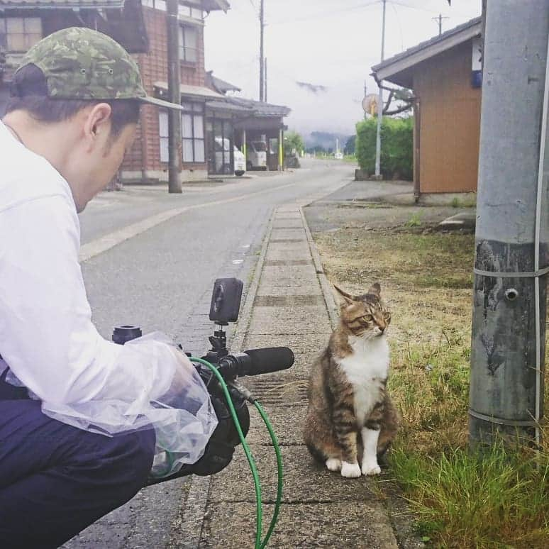 伊勢みずほさんのインスタグラム写真 - (伊勢みずほInstagram)「にゃに？カメラ目線がほしいにゃか？ おやつももってにゃいくせに？ にゃっか！！(きゃっか)  #水曜見ナイト #取材 #ロケ #県境から行ってみずほ #カメラマン #猫様 #猫 #にゃんすたぐらむ #ぬこ #ぬこ様 #猫部 #しまちゃん #可愛い #すりすり #ごろごろ #マクロビ #民宿 #出逢い #感謝 #伊勢みずほ #アナウンサー #7月10日放送」6月24日 18時00分 - isemizuhoo