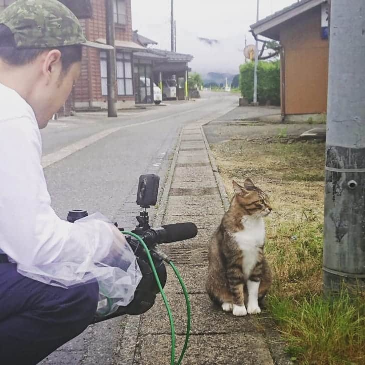 伊勢みずほさんのインスタグラム写真 - (伊勢みずほInstagram)「にゃに？カメラ目線がほしいにゃか？ おやつももってにゃいくせに？ にゃっか！！(きゃっか)  #水曜見ナイト #取材 #ロケ #県境から行ってみずほ #カメラマン #猫様 #猫 #にゃんすたぐらむ #ぬこ #ぬこ様 #猫部 #しまちゃん #可愛い #すりすり #ごろごろ #マクロビ #民宿 #出逢い #感謝 #伊勢みずほ #アナウンサー #7月10日放送」6月24日 18時00分 - isemizuhoo