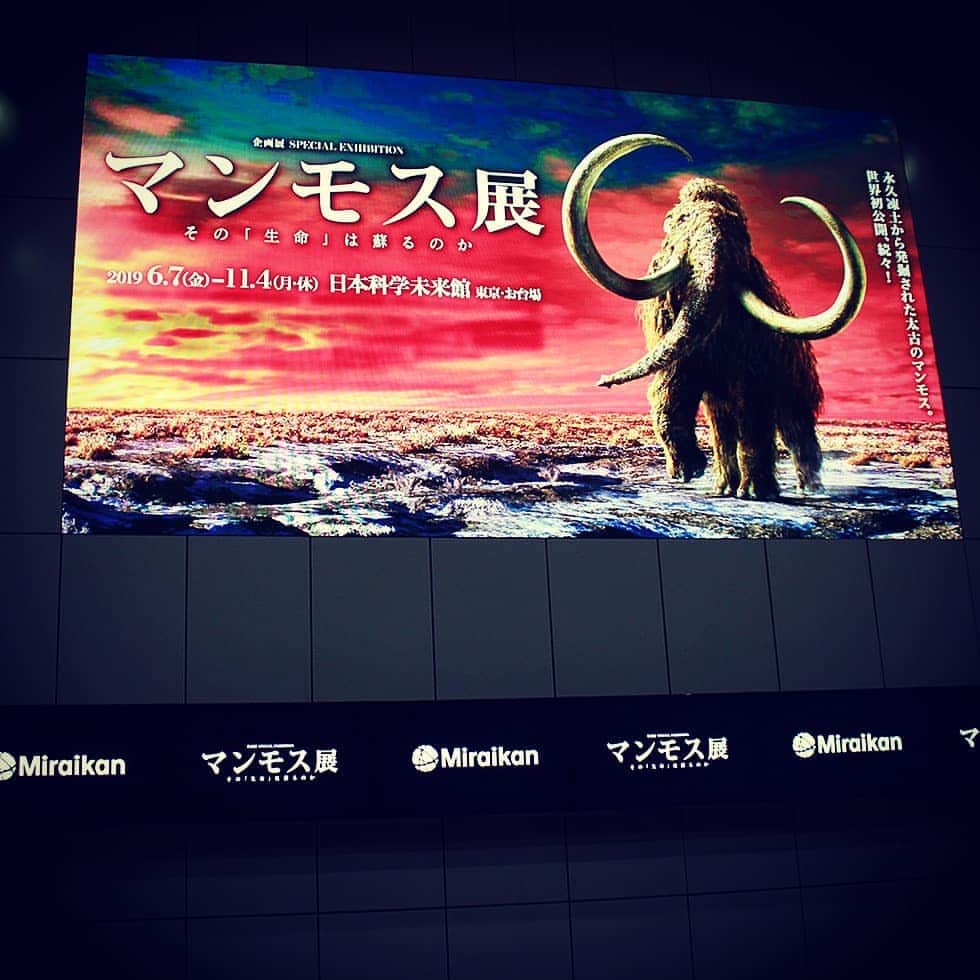 ローチケ（ローソンチケット）さんのインスタグラム写真 - (ローチケ（ローソンチケット）Instagram)「日本科学未来（ @miraikan ）でマンモス展🐘（ @mammothten ）-その『生命』は蘇るのか-開催中✨  日本科学未来館🌐で行われている「マンモス展-その『生命』は蘇るのか-」では、近年ロシアの永久凍土から発掘された⛏️古代の動物たちの冷凍標本をはじめ、発掘調査の様子、冷凍標本から得た組織を使って🔬絶滅したマンモスを復活させる計画⚗️「マンモス復活プロジェクト」の近況報告📋などがご覧いただけます✨  音声ガイド🎧には通常版とジュニア版の2種類を選ぶことができます🎶通常版は声優の梶裕貴さん、ジュニア版👥は東山奈央さんがナビゲート🚩さらに本展の監修🌟いとうせいこうさんがコメント出演。  会場入口付近にはコインロッカー🛅（無料）があるので、手ぶらで本展を楽しむことができます🎶  ローチケでは鑑賞チケットを販売中🎫 詳しくは 「マンモス展　ローチケ」でネット検索📲  #マンモス展 #日本科学未来館 #お台場 #マンモス #science #音声ガイド #梶裕貴 #東山奈央 #標本 #永久凍土 #サハ共和国 #夏休み #企画展 #科学館 #こどもとおでかけ #研究 #サイエンス #biologicalsciences #tokyotrip #evolution #mammuthus #animalscience #instapic #animalofinstagram #ローチケ #lawsonticket」6月24日 18時01分 - lawson_ticket