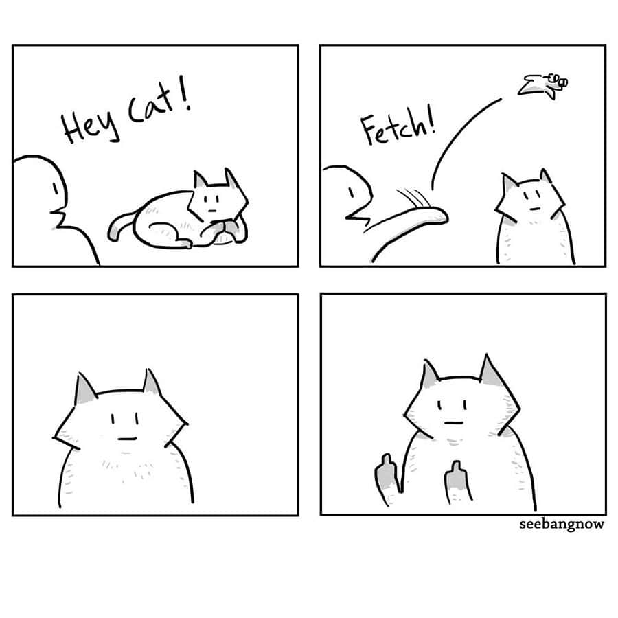 9GAGさんのインスタグラム写真 - (9GAGInstagram)「If cats could talk By @xibang - #comics #cat #hooman」6月24日 18時01分 - 9gag