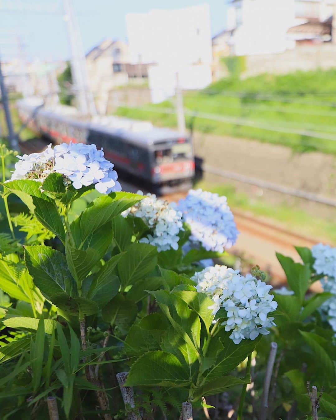 東急電鉄のインスタグラム
