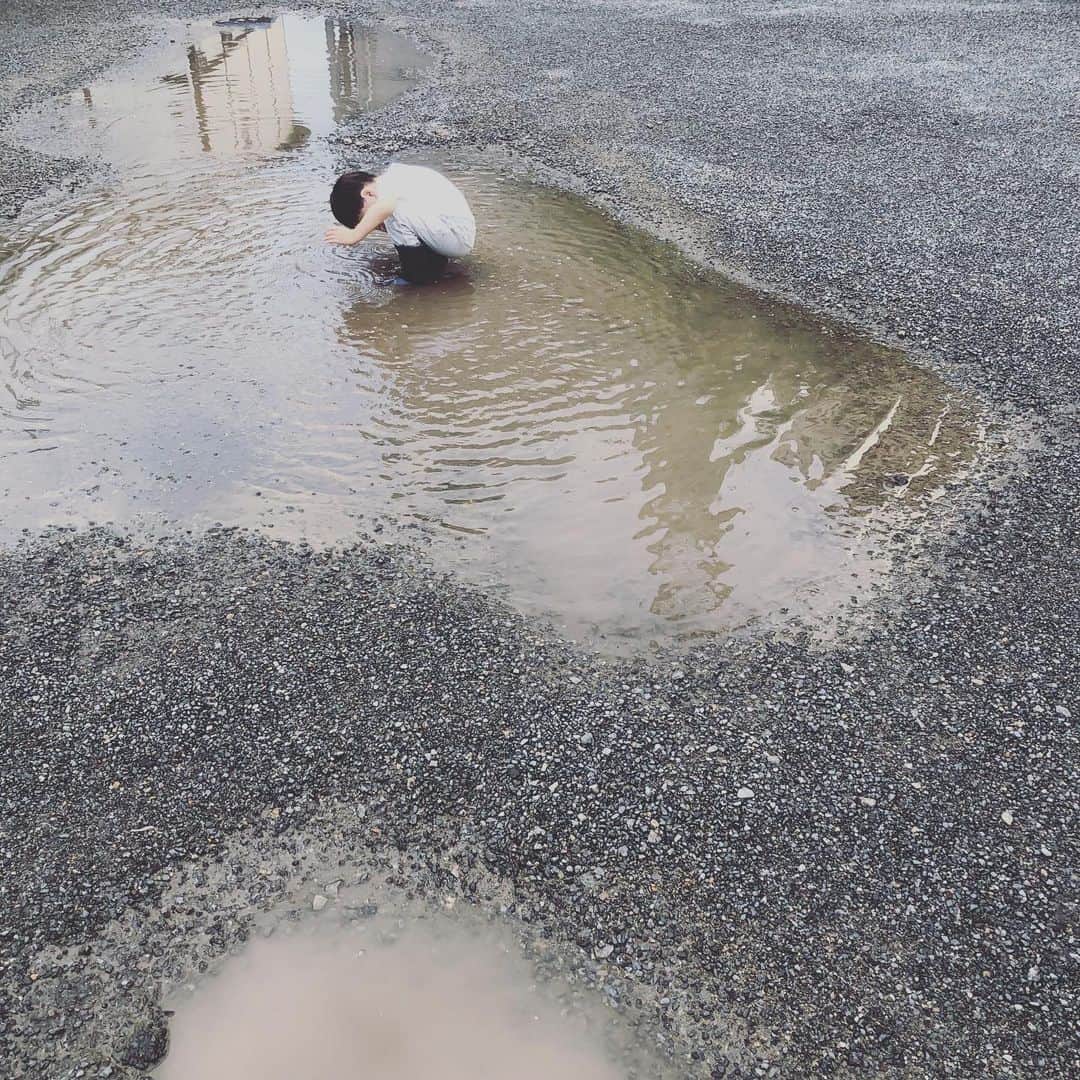 浜島直子さんのインスタグラム写真 - (浜島直子Instagram)「いいぞいいぞ。その調子。 ・ #水たまり #暴れ肉団子」6月24日 18時45分 - hamaji_0912