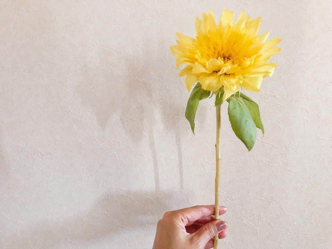 川崎優さんのインスタグラム写真 - (川崎優Instagram)「. . もうすぐ夏だから、黄色い花🌼 .」6月24日 19時08分 - yuu__noir