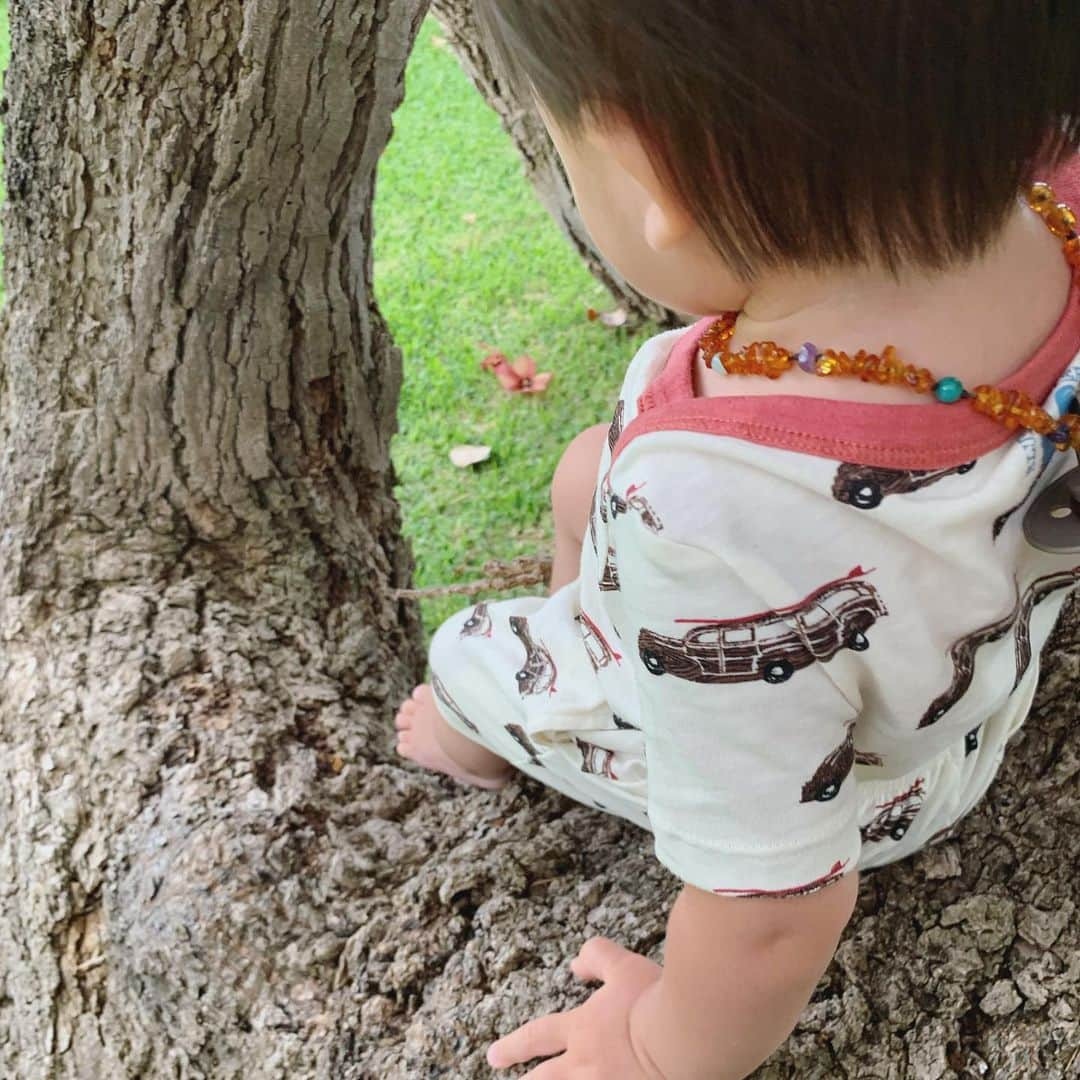 吉川ひなのさんのインスタグラム写真 - (吉川ひなのInstagram)「子どもには、木登りを🌳 今日も大自然の中いっぱい遊んだ❤︎ #泥んこ育児 #木登り教育 #裸足子育て #息子HawaiiLife」6月24日 19時23分 - hinanoyoshikawa