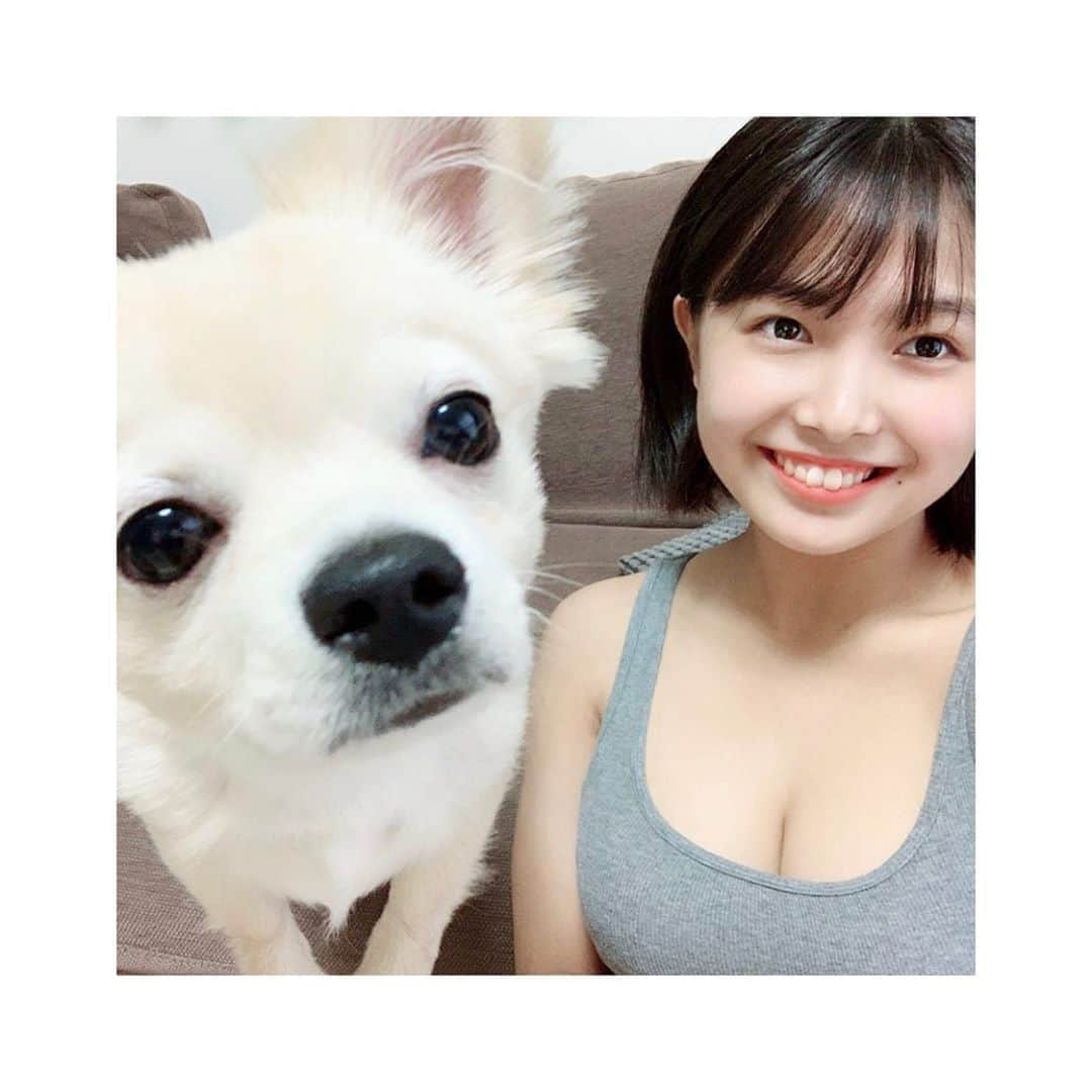 寺本莉緒さんのインスタグラム写真 - (寺本莉緒Instagram)「カメラ目線してくれました😭😭😭 . #愛犬  #好きすぎて  #可愛すぎて  #無理」6月24日 19時50分 - lespros_rio