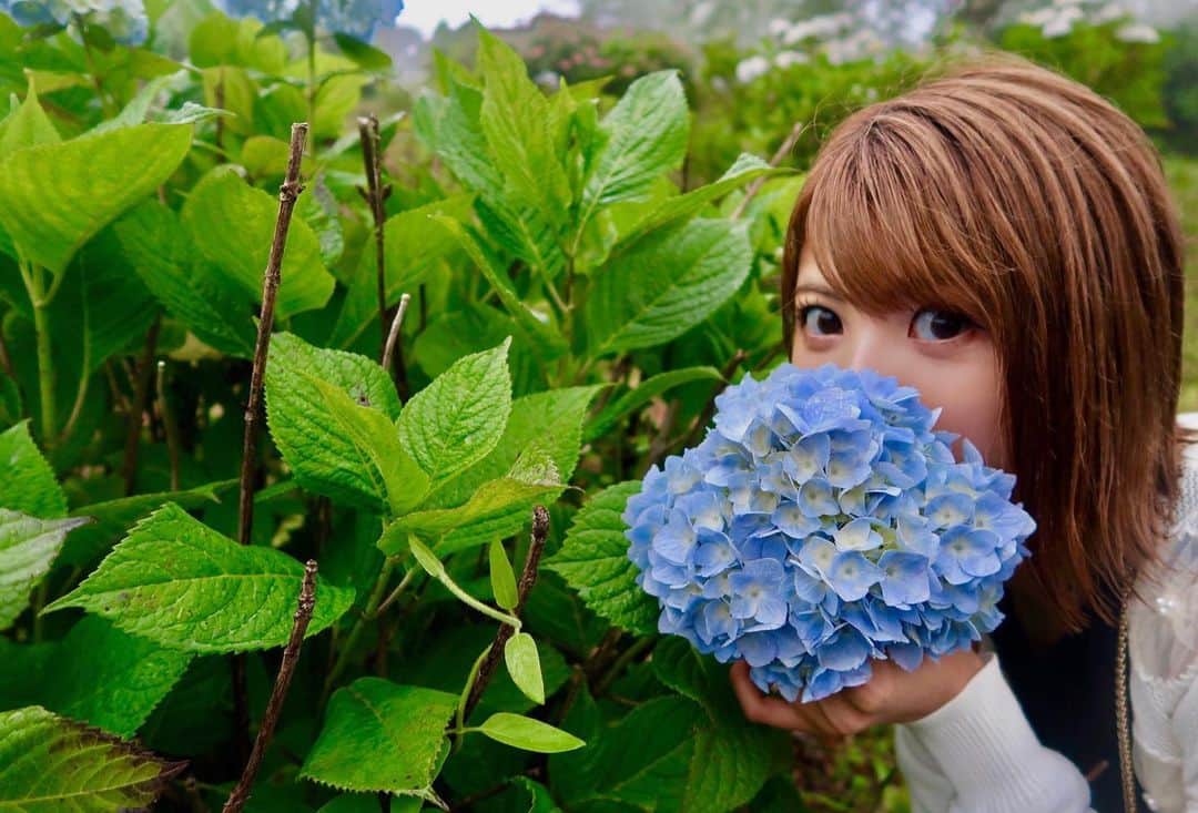 岡田栞奈のインスタグラム：「私の白目とおんなじ青💙 こう持つとめっちゃ 白目が青なの目立つ👀✨ 最近なんか青さ増した(笑) チャームポイントだよ〜^^ #紫陽花 #青 #白目 #チャームポイント #blueeye #bestfeature #flowers」