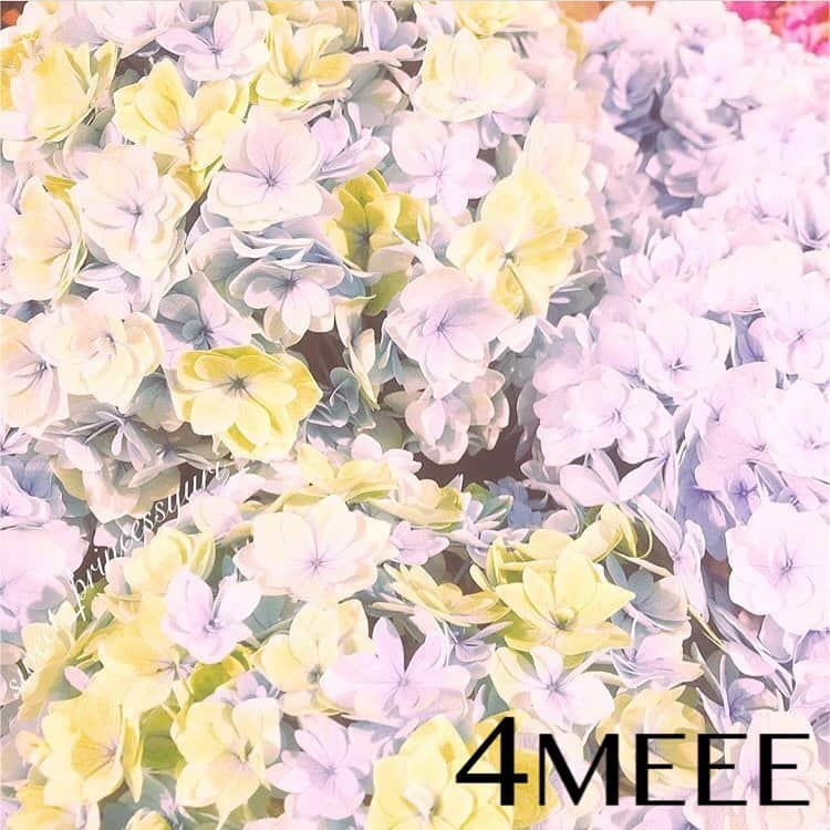 4meee!さんのインスタグラム写真 - (4meee!Instagram)「. . @4meee_com をタグ付けしてくださった ステキな投稿をご紹介❤️ . この時期に見ることができる 素敵なお花といえば「紫陽花」💐 ピンクやブルー、パープルなど いろいろな色があって可愛いですよね❤️ . 梅雨は雨とジメジメの湿気で 気分もどんよりしがちですが、 こんな可愛い紫陽花たちを見れると思うと 梅雨もなんだか良いかも...❣️🌈 . 素敵な紫陽花に出会える梅雨、 あっという間に終わりますが 違う視点から残りの期間を ぜひ楽しんでみては？☺️💕 . 📷 @sweet_princessyuri_ . ✳︎✳︎✳︎✳︎✳︎✳︎✳︎✳︎✳︎✳︎✳︎✳︎✳︎ . @4meee_com をタグ付けして 投稿してくださいね💋 ステキな投稿は紹介させていただきます🌸 .  #4MEEE#フォーミー#女子力向上委員会#アラサー女子#紫陽花#アジサイ#梅雨#お花のある暮らし#雨の日の過ごし方#お花大好き#花が好きな人と繋がりたい」6月24日 20時24分 - 4meee_com