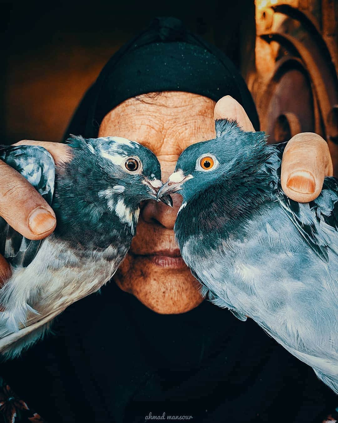 Nature|Folk|Portrait|Videoのインスタグラム：「━━━━━━━━━━━━━━━━━━━ Photo by @ahmadmansour980  Congratulations!  Selection by  @gulumsedunya ━━━━━━━━━━━━━━━━━━━ Team #ig_mood @unsalsicilli @humanistanbul @gizemparlak_ @emili35 @hakancgrn @gulumsedunya @semihcevval @gulperi_karademir @celilbezeng ━━━━━━━━━━━━━━━━━━━ Community @moodcommunity General Tag #moodcommunity ━━━━━━━━━━━━━━━━━━━ #ig_pics_ahmadmansour980」
