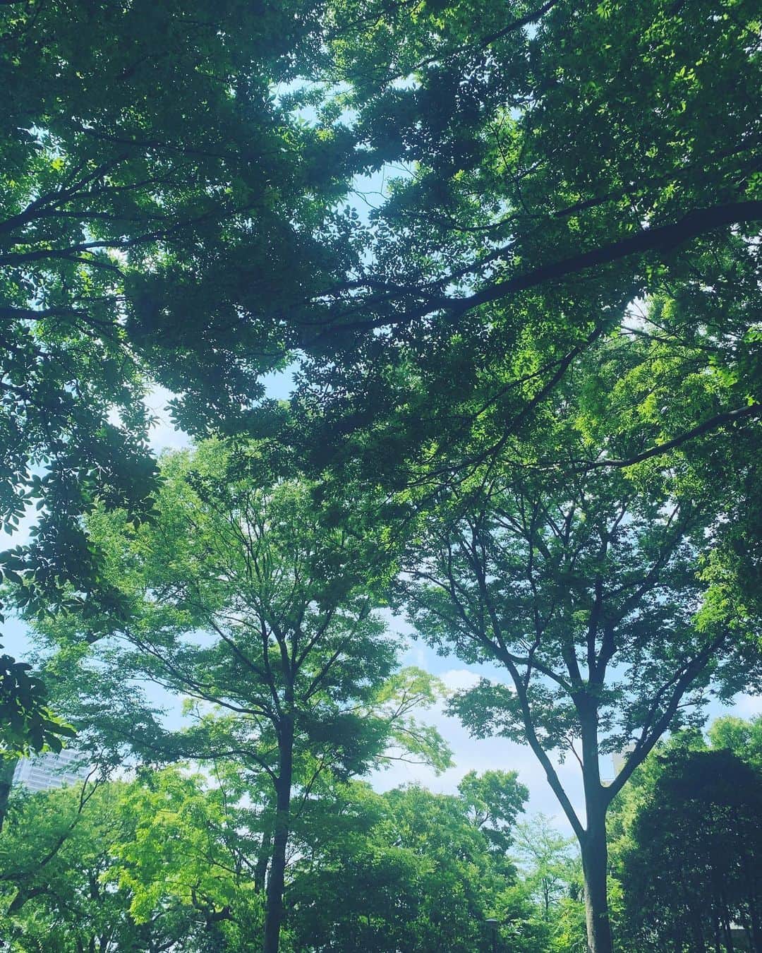 安部乙さんのインスタグラム写真 - (安部乙Instagram)「早く梅雨明けて欲しいですねー。☔️ 偏頭痛持ちは困りますよ…」6月25日 6時46分 - abeoto0118
