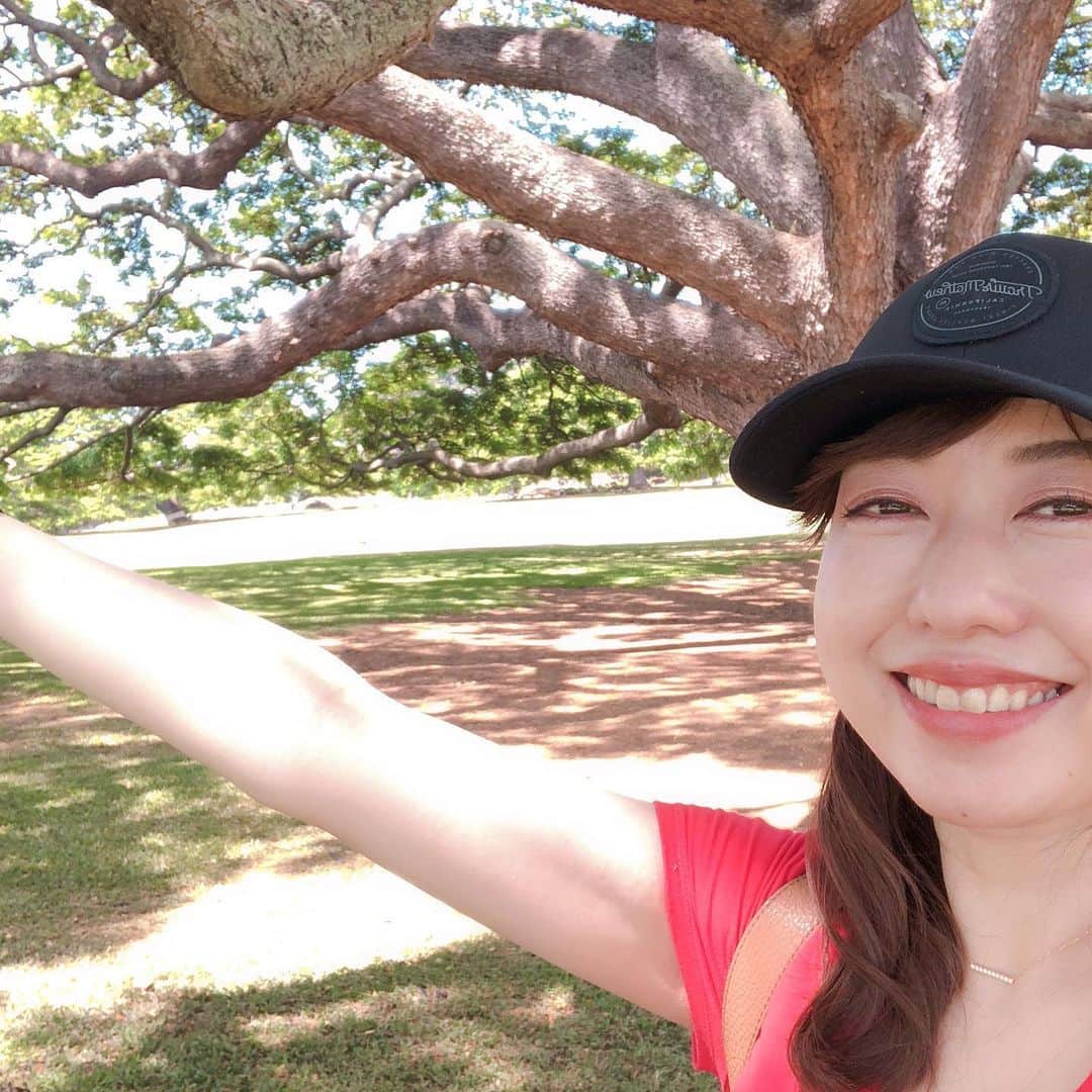 あいりさんのインスタグラム写真 - (あいりInstagram)「1度来てみたいと思っていた所に やっと来れたーーー🌴🌴🌴 ・ VLOGの動画でまた紹介しますね💕 ・ #hawaii #ハワイ #ハワイ旅行 #hawaii🌴 #木 #tree #観光 #旅行 #travel #来たかった場所 #嬉しい」6月25日 7時05分 - airi_happy
