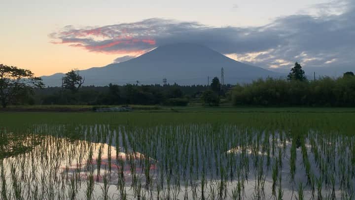 phantastic420のインスタグラム：「. 🤩🤩“Shizuoka” prefecture in Japan is a place where you can see the most “phantastic” Mt. Fuji🗻 in the world.🤩 #富士山 #mtfuji #japan #shizuoka #fujinomiya  #phantastic420photography #mostphantasticmtfuji #selamatpagi  #goodmorning  #おはようございます 😇😇😇😇😇😇😇🗻😇😇 一瞬だけですが🤣」