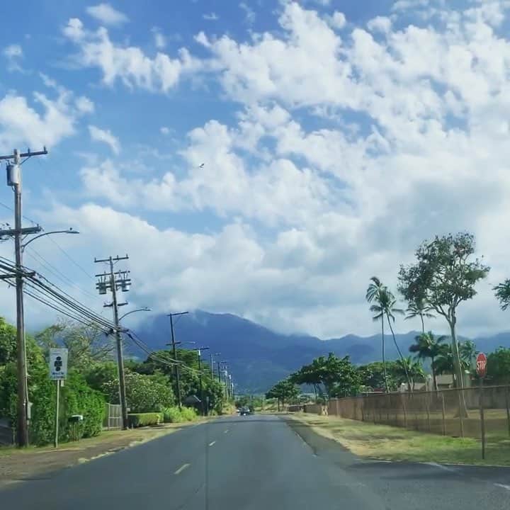 のインスタグラム：「ノースショアのハレイワロードをドライブ🚙﻿ ﻿ いつも賑やかなワイキキとは全く違う﻿ のどかなハワイ風景に癒されます💕﻿ ﻿ 正面に見えるのはカアラ山（Mount Ka’ala）⛰﻿ 4,000フィートを超える﻿ オアフ島で一番高い山だそうです🤙﻿ ﻿ ﻿ ﻿ ﻿ ﻿ ﻿ ﻿ ﻿ ﻿ ﻿ ﻿ ﻿ #belleviehawaii #hawaii﻿ #waikiki #waikikibeach﻿ #aloha #honolulu﻿ #northshore #haleiwa﻿ #hawaiilife #honoluluhawaii﻿ #ハワイ #ベルヴィー﻿ #ハワイ旅行 #ハワイ好き﻿ #ハワイ大好き #アロハ﻿ #ハワイアン #ノースショア﻿ #ハワイ土産 #ハワイ雑貨﻿ #ワイキキ #ワイキキビーチ﻿ #ホノルル #ハワイ生活﻿ #ハワイ好きな人と繋がりたい」