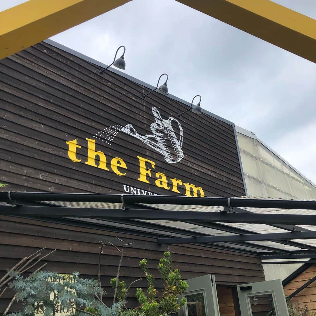 Princess M Classicのグルメインスタ