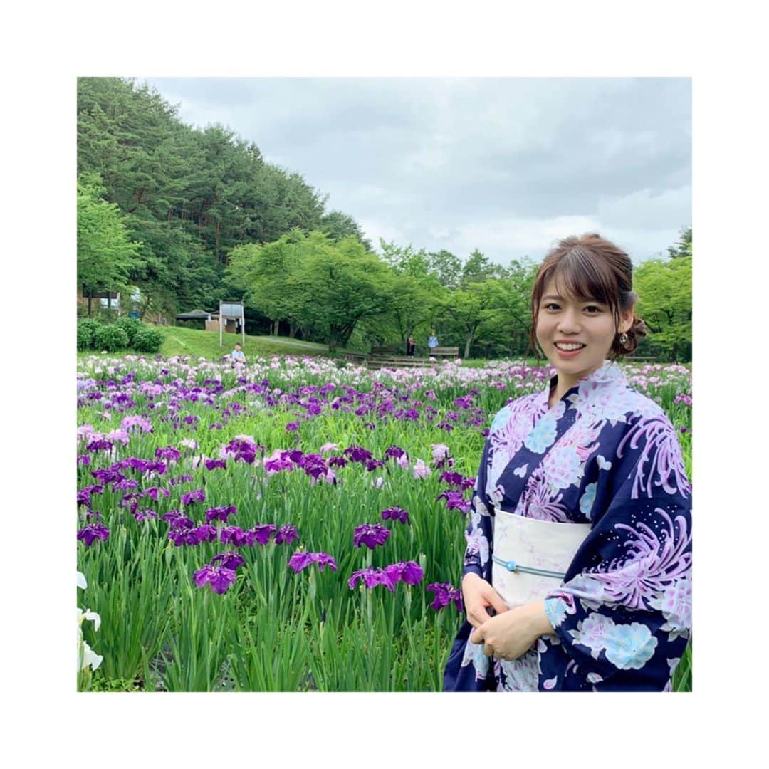 林莉世さんのインスタグラム写真 - (林莉世Instagram)「#新発田市#五十公野公園#あやめ園 から#中継 させていただきました🤩 #ゴゴスマ での中継は初めてでした！ 美しい#あやめ の見頃は今月中みたいです。 #ほたる もいるとか！ ぜひに！ . #新潟#BSN#新潟放送#林莉世#アナウンサー#花#アヤメ#浴衣#ヘアアレンジ」6月24日 22時31分 - rise_hayashi