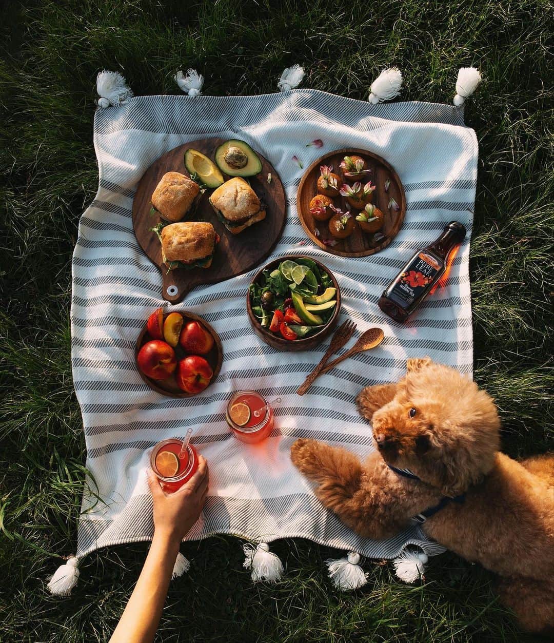 PSNYさんのインスタグラム写真 - (PSNYInstagram)「Summertime is picnic time! 🍹 Picnics don’t always have to be so big and fancy, even just a few snacks and a chilled hibiscus iced tea @pureleaf are enough to enjoy the moment. We rarely miss a chance to appreciate the beauty of a golden hour and when gathering with family and friends, I like to prepare Hibiscus Ginger Punch. Here’s the recipe: Serves about 6 Ingredients: - 1 cup of water - 1 cup dried hibiscus blossoms - 1 (2-inch) piece of ginger, thinly sliced - 2 tsp raw sugar - 2 bottles chilled @pureleaf hibiscus iced tea - 2 cups chilled ginger ale - 1 bottle sparkling mineral water - optional: ice, garnishes of lime slices Instructions: Combine water, hibiscus blossoms, and ginger in a pot. Bring to a boil, then lower heat and simmer for 20 minutes. Turn off heat and stir in sugar. Let cool, strain, and chill. Stir @pureleaf hibiscus iced tea with ginger ale and sparkling water.  What’s your favorite recipe?  #bloomingwithflavor #houseofhibiscus #sunsetpicnic #ad」6月24日 22時40分 - oliasaunders