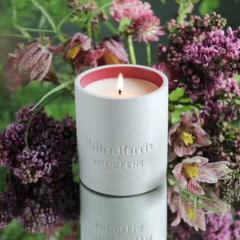 のインスタグラム：「Petals swirl in wind with both lightness and weight, moist with scent, delicate as memory, sensual as a breath. This candle seasons sumptuous white forals with pink pepper on a sensual base of amber and musk.」
