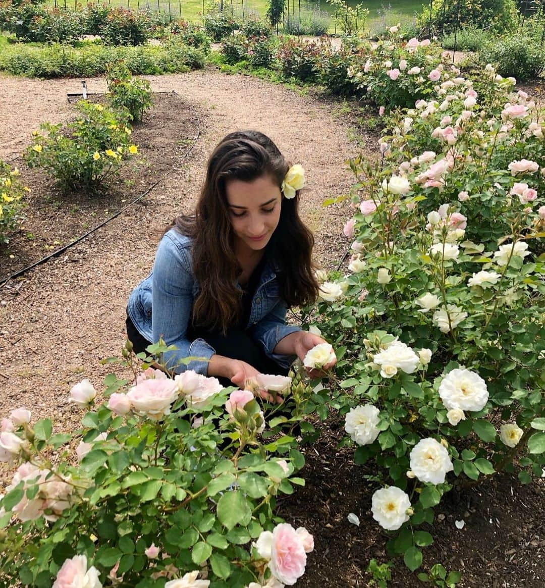 アリー・レイズマンさんのインスタグラム写真 - (アリー・レイズマンInstagram)「This summer I’m working to find better balance. Being outside more/ connecting with nature & incorporating more plant based foods into my diet. 🦋🦋🦋 What is your favorite color that you find in nature? I can’t decide! 🧚🏻‍♀️ @purplecarrotxo #plantbased #purplecarrotxo #eatmoreplants」6月24日 23時09分 - alyraisman