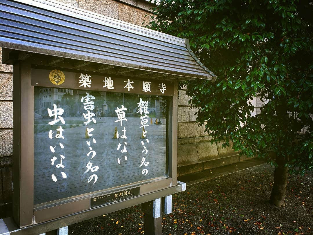 上杉隆さんのインスタグラム写真 - (上杉隆Instagram)「雑草という名の草はない🌿」6月24日 23時24分 - takashiuesugi