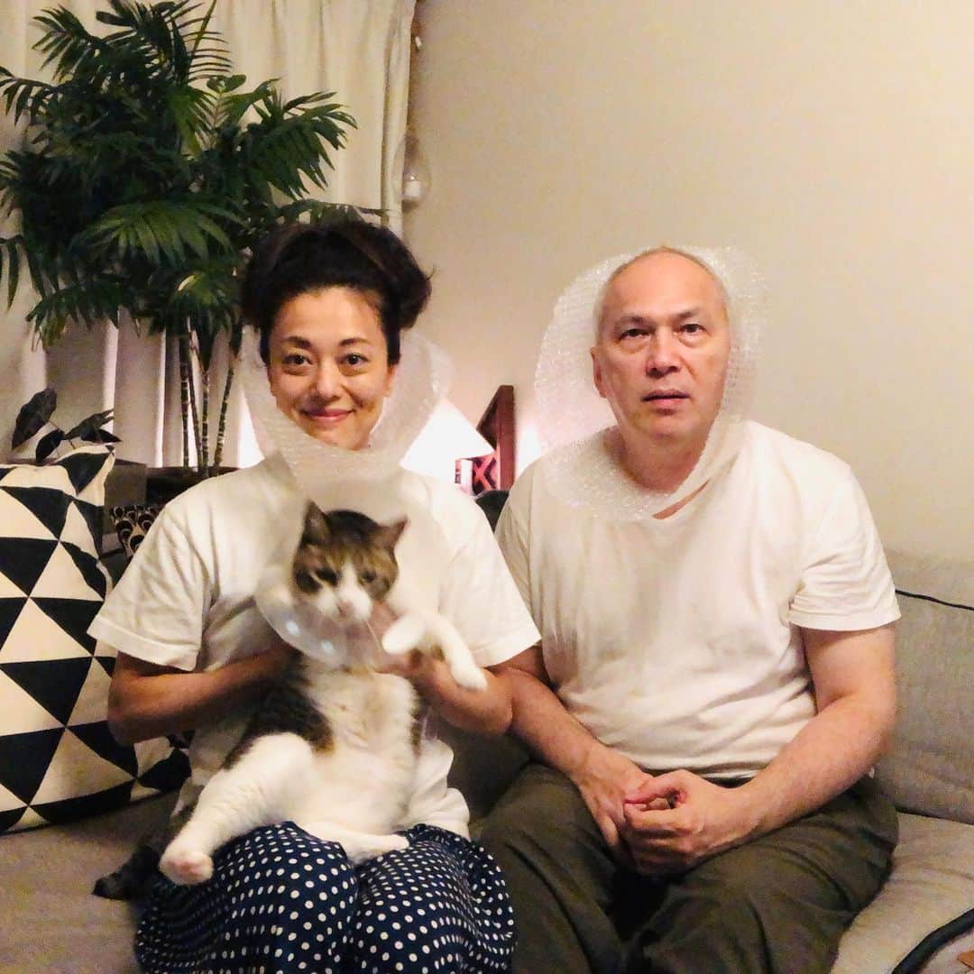 池田有希子さんのインスタグラム写真 - (池田有希子Instagram)「にゃむくんのエリザベスカラーがそろそろ取れるので、その前に記念撮影しました。にゃむくんがブレブレだ。 いねちゃんは私達の格好見てフーって怒って参加してくれず。  #familyphotography」6月24日 23時57分 - yukikoikeda