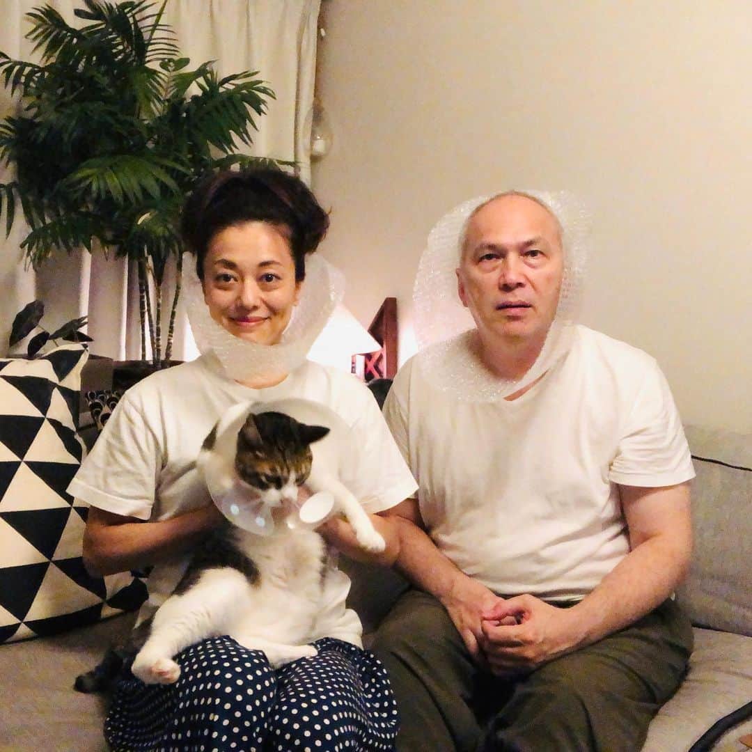 池田有希子のインスタグラム：「にゃむくんのエリザベスカラーがそろそろ取れるので、その前に記念撮影しました。にゃむくんがブレブレだ。 いねちゃんは私達の格好見てフーって怒って参加してくれず。  #familyphotography」