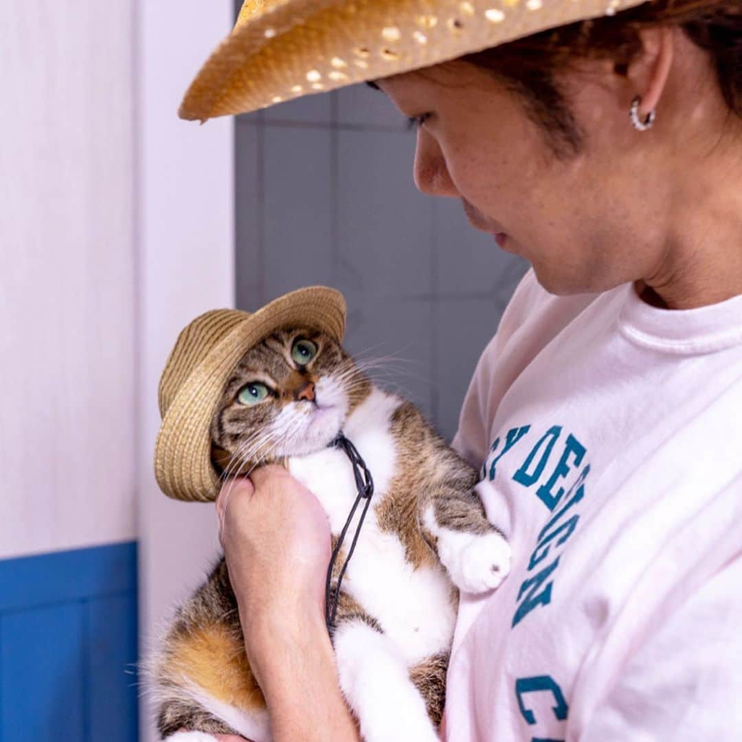 Sakiさんのインスタグラム写真 - (SakiInstagram)「* Ruby: "I've gotta matching hat with daddy😻 But daddy, I want one with a cute flower 'cause I'm a girl!" . ルビー:「パパとお揃いの麦わら帽子ゲットだニャ👒でもなぁ、もっとお花がついてるのがいいなぁ。だってルーちゃん女子だもん。」 #元野良猫部 #元野良もカワイイ説普及隊 *」6月25日 0時03分 - rubyeve12