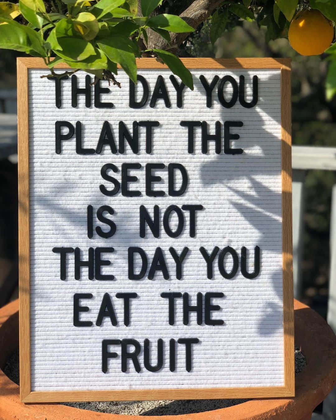 ジェニファー・ガーナーさんのインスタグラム写真 - (ジェニファー・ガーナーInstagram)「It’s Monday—plant the seeds! #thingsitellmykids #theysay🙄」6月25日 0時14分 - jennifer.garner