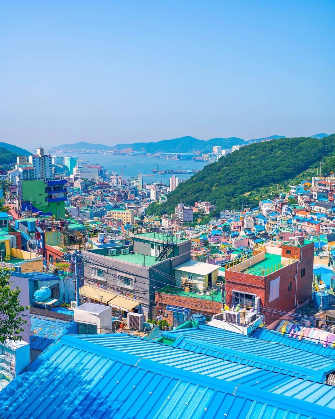 6151さんのインスタグラム写真 - (6151Instagram)「甘川洞文化村 釜山｜부산 감천문화마을 Gamcheon Culture Village - Seoul」6月25日 0時17分 - 6151