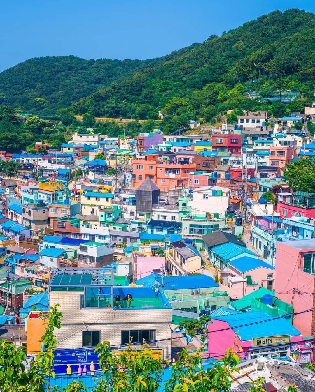 6151さんのインスタグラム写真 - (6151Instagram)「甘川洞文化村 釜山｜부산 감천문화마을 Gamcheon Culture Village - Seoul」6月25日 0時17分 - 6151