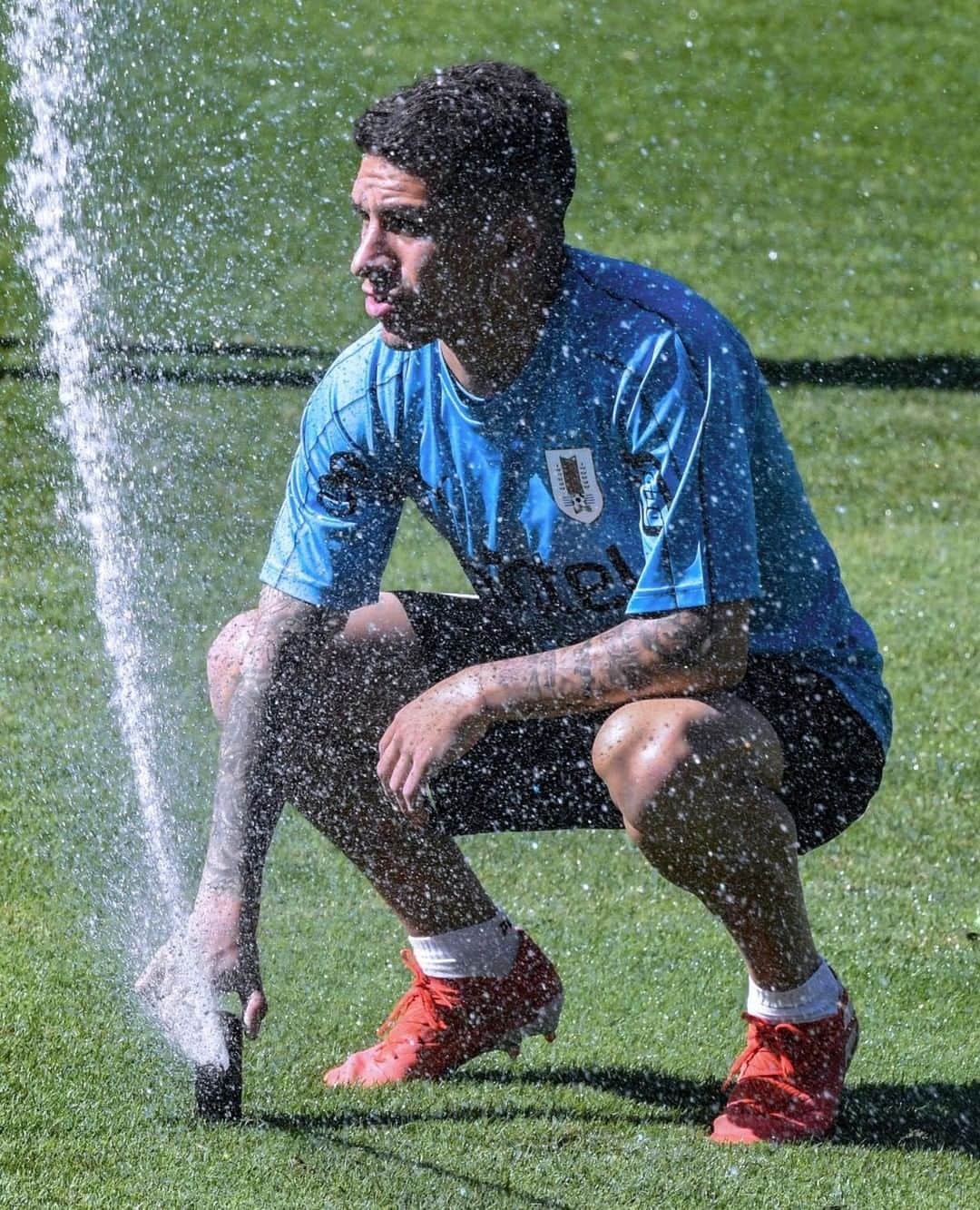 アーセナルFCさんのインスタグラム写真 - (アーセナルFCInstagram)「🇺🇾 @ltorreira34 is back in action for #Uruguay at the Copa America tonight ﻿ ﻿ #Uruguay #Torreira #CopaAmerica」6月25日 1時06分 - arsenal