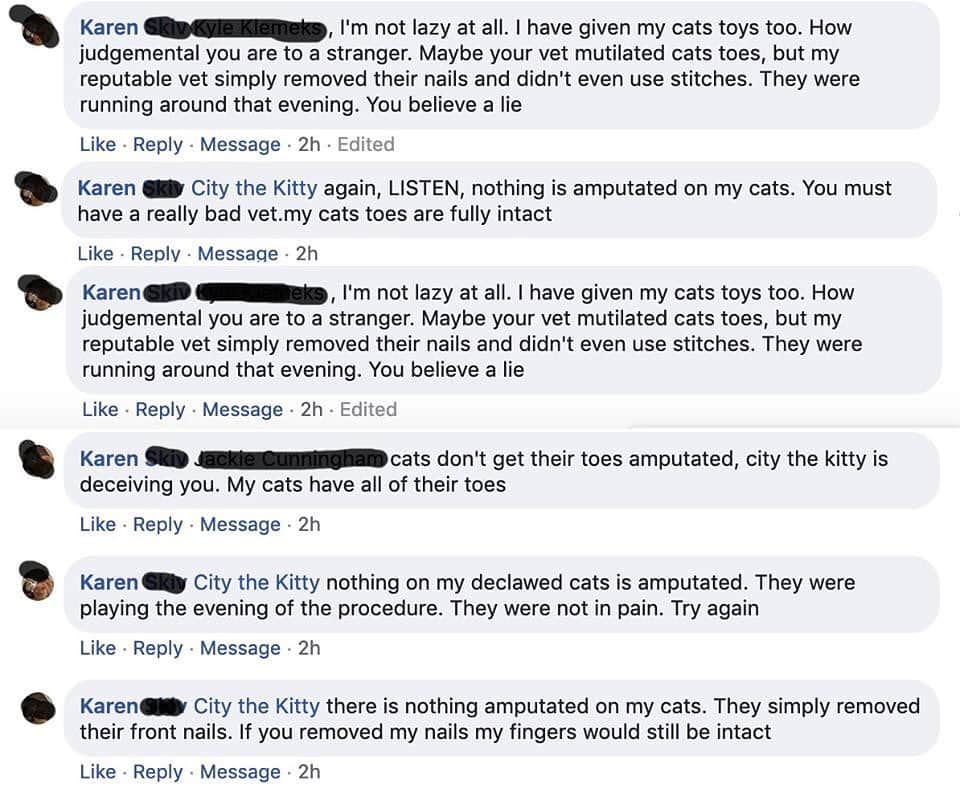 City the Kittyさんのインスタグラム写真 - (City the KittyInstagram)「Folks, it is disturbing and quite concerning to know that so many declawing veterinarians are lying to their clients about this inhumane amputation procedure.😾 This woman from West Michigan is angry at us and is attacking us for trying to educate her and the public about the facts. 🙀😿 She's inspired us to do more campaigns in West Michigan that will educate the public about declawing and about the easy, humane options.  In honor of Karen and her declawed cats, we will get the truth out through billboards and targeted facebook ads and possibly a newspaper ad in Mlive.  Her comments also show us why declawing needs to be banned.  It's sad that people will trust their unethical and lying declawing vets, who care more about their pocketbooks than they do the welfare of innocent cats.  #catsofmichigan #michigancats #stopdeclawing #pawsneedclaws  www.citythekitty.org」6月25日 1時30分 - citythekitty