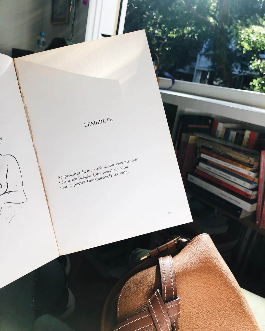 Alice Wegmannのインスタグラム：「drummond na terapia」