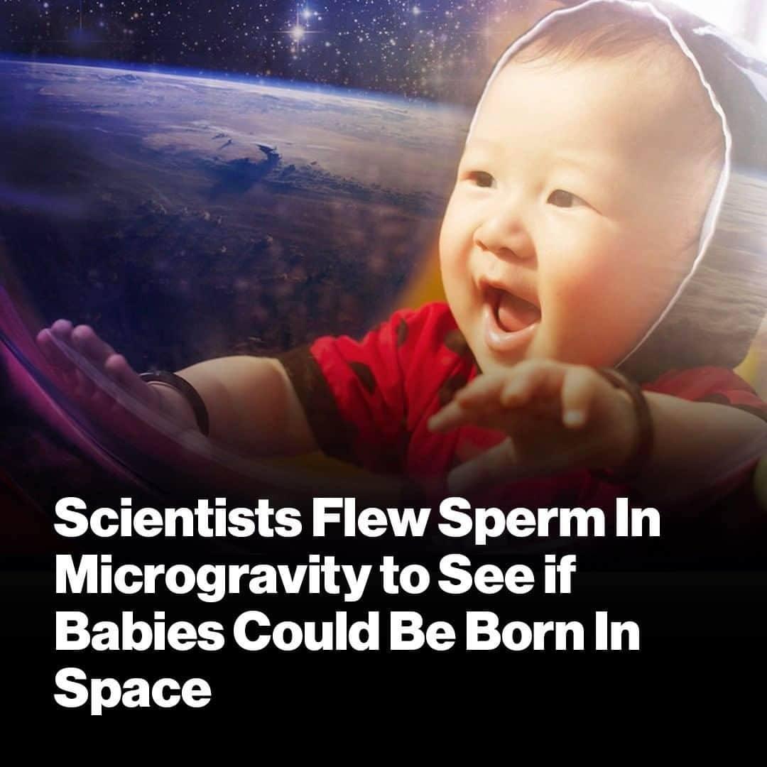 VICEさんのインスタグラム写真 - (VICEInstagram)「Earth has been the birthplace for every human in history, but that may change if our civilization expands further into the solar system. 🚀👶 To assess the possibility of future space-born babies, scientists exposed frozen human sperm samples to microgravity conditions to see if a space-like environment negatively impacted their viability.  Link in bio to read about the results. Image: GokuArtz Photography」6月25日 4時30分 - vice