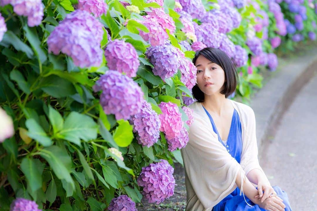 川田希さんのインスタグラム写真 - (川田希Instagram)「紫陽花💠💠💠」6月25日 15時54分 - nozomikawata