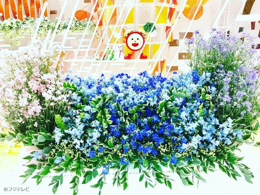 フジテレビ「めざましテレビ」さんのインスタグラム写真 - (フジテレビ「めざましテレビ」Instagram)「きょうのお花は「デルフィニウム」♪さわやかであざやかなブルーがひと足早く夏を感じさせてくれるね(๑•ᴗ•๑) #めざましテレビ #久慈暁子 #永尾亜子 #デルフィニウム」6月25日 16時15分 - mezamashi.tv