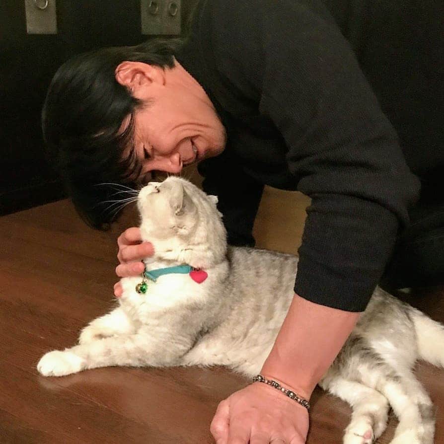 中野信治さんのインスタグラム写真 - (中野信治Instagram)「猫のきみちゃん19歳が旅立ってから1年 🐈  時間が経つのは早いですね。  子供の頃のトラウマで、ずっと動物に触ることが出来なかった私。。 そんな私が動物好きになるきっかけをくれたきみちゃんです。  ファミリーに沢山の笑顔と幸せを与えてくれて有難う。  いつも穏やかで人懐っこいチャーミングな子でした❣️ #cat #family  #猫」6月25日 8時35分 - shinjinakano