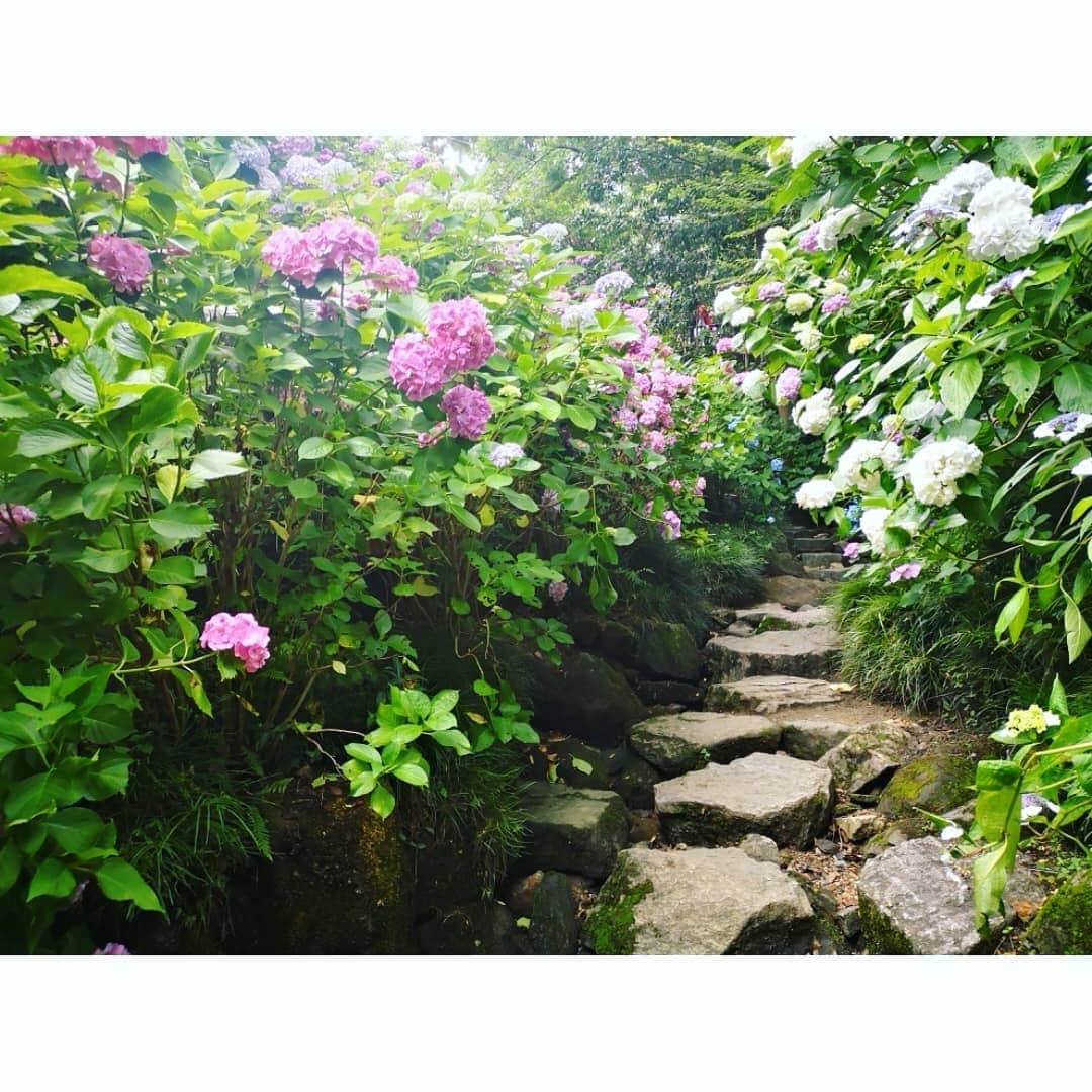 鬼頭由芽のグルメインスタ