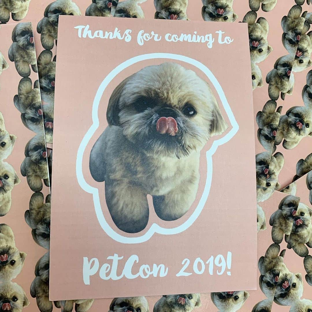 Dougie the Shih Tzuさんのインスタグラム写真 - (Dougie the Shih TzuInstagram)「We had a great time at PetCon!  We loved seeing so many you there and greatly appreciate all the love. We are so happy that Dougie makes you so happy. 😘😘」6月25日 9時03分 - dailydougie