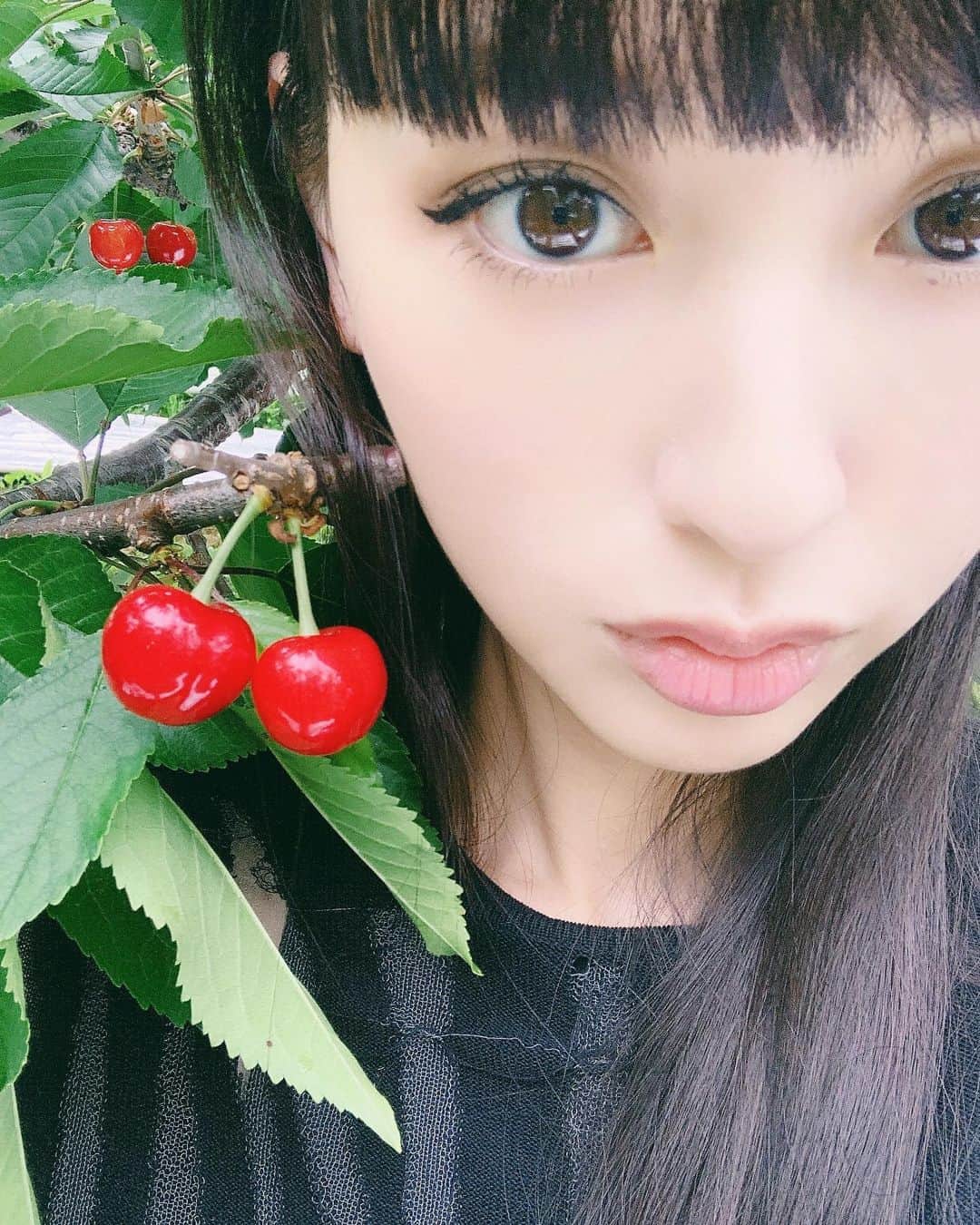 鈴木えみさんのインスタグラム写真 - (鈴木えみInstagram)「Cherry picking🍒」6月25日 9時17分 - emisuzuki_official