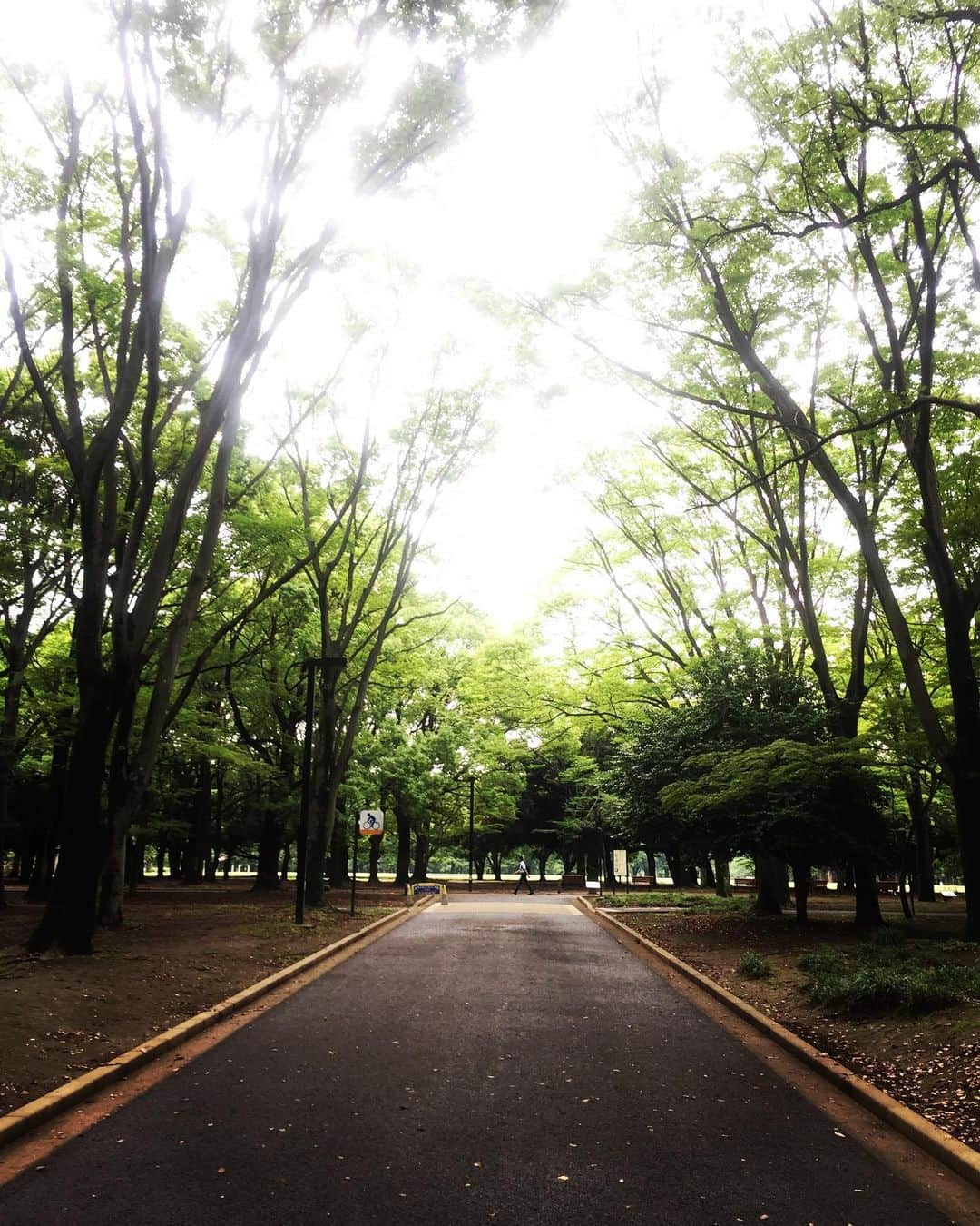 橋本塁さんのインスタグラム写真 - (橋本塁Instagram)「朝ラン終了！ゆっくり12.12km！ これからとある撮影&打ち合わせ！  #サウシュー #stingrun #run #running  #adidas #朝ラン #ランニング #ラン #urbanrunning #adidasrunning #adidasultraboost #streetrunning #アディダス #ポルカ #littlenapcoffeestand  https://www.instagram.com/tv/BxtWD0jh0kZ/?igshid=1rn1b0j75451f」6月25日 9時56分 - ruihashimoto