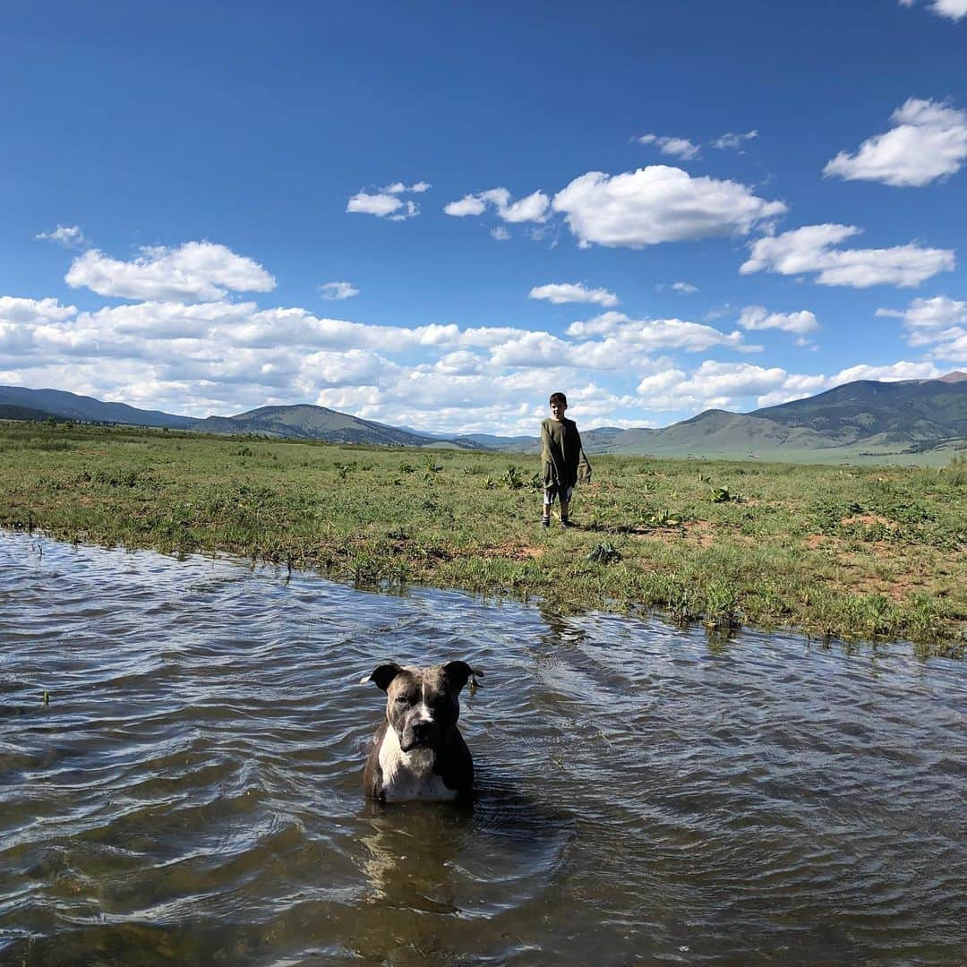 ジョン・バーンサルさんのインスタグラム写真 - (ジョン・バーンサルInstagram)「And then there are these guys. New Mexico is the truth. @biglmark」6月25日 10時01分 - jonnybernthal